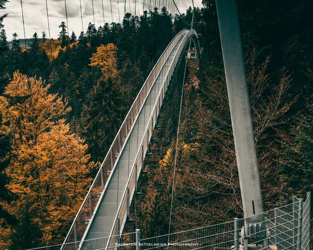 Wildline Bridge Bad-Wildbad
