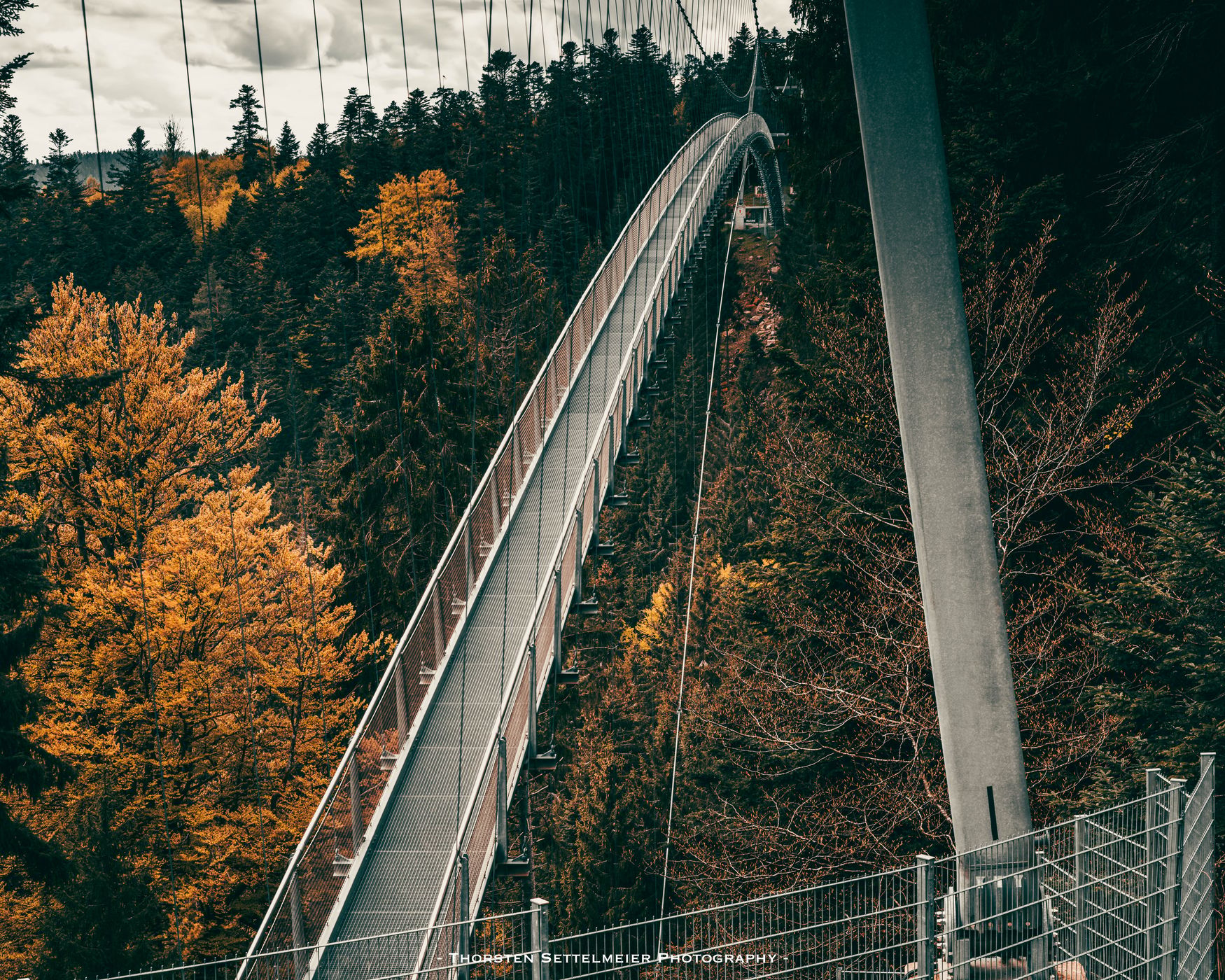 Wildline Bridge Bad-Wildbad, Germany