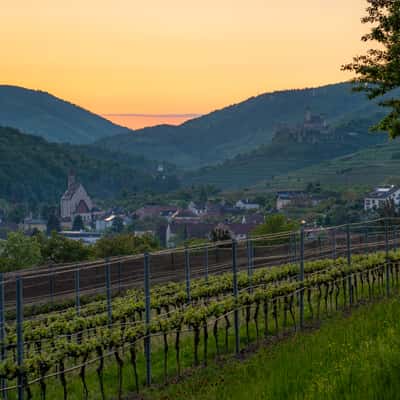 Wine Land View, Austria