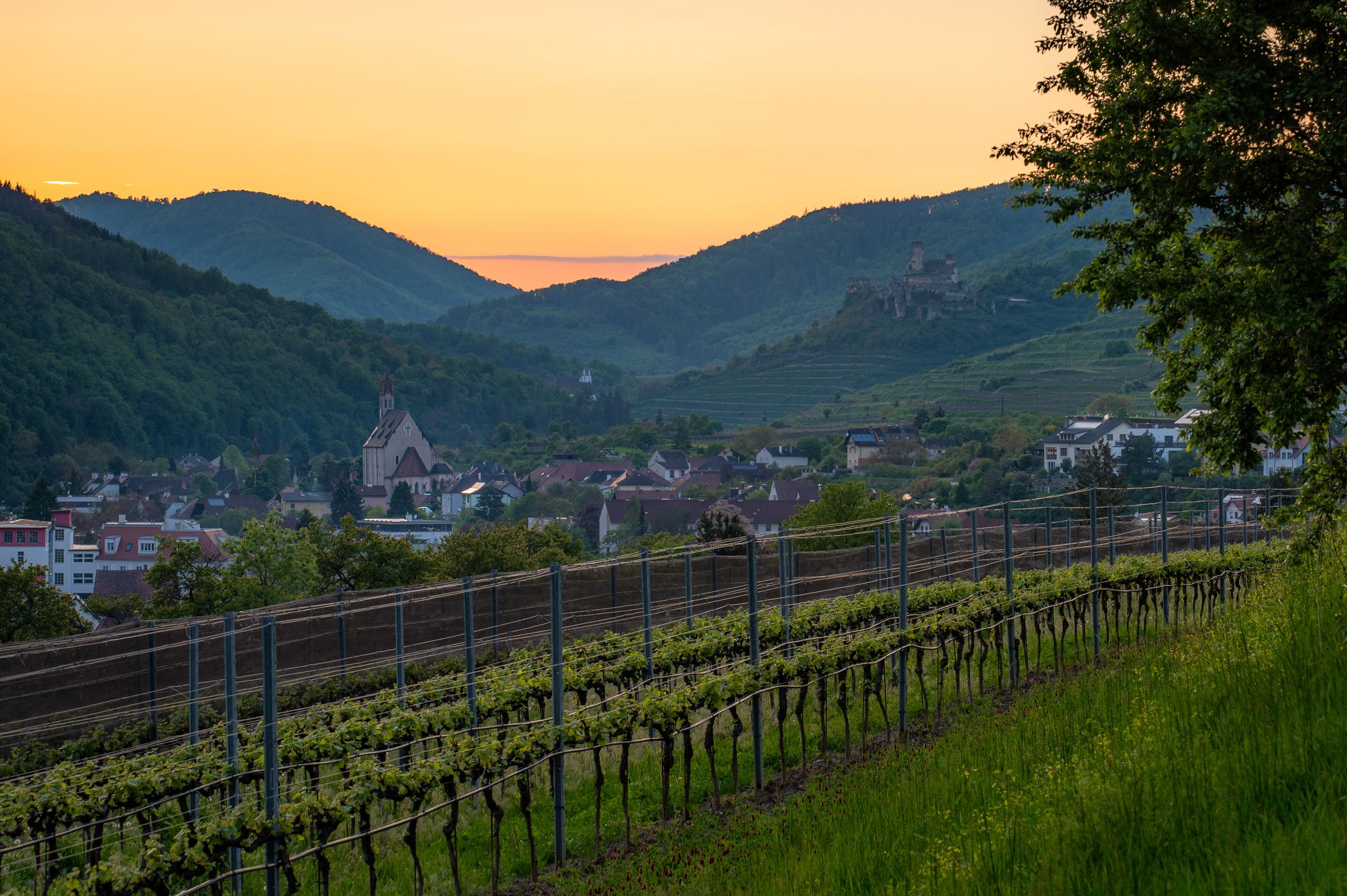 Wine Land View, Austria