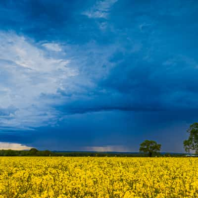 Woodhouse Lane, United Kingdom