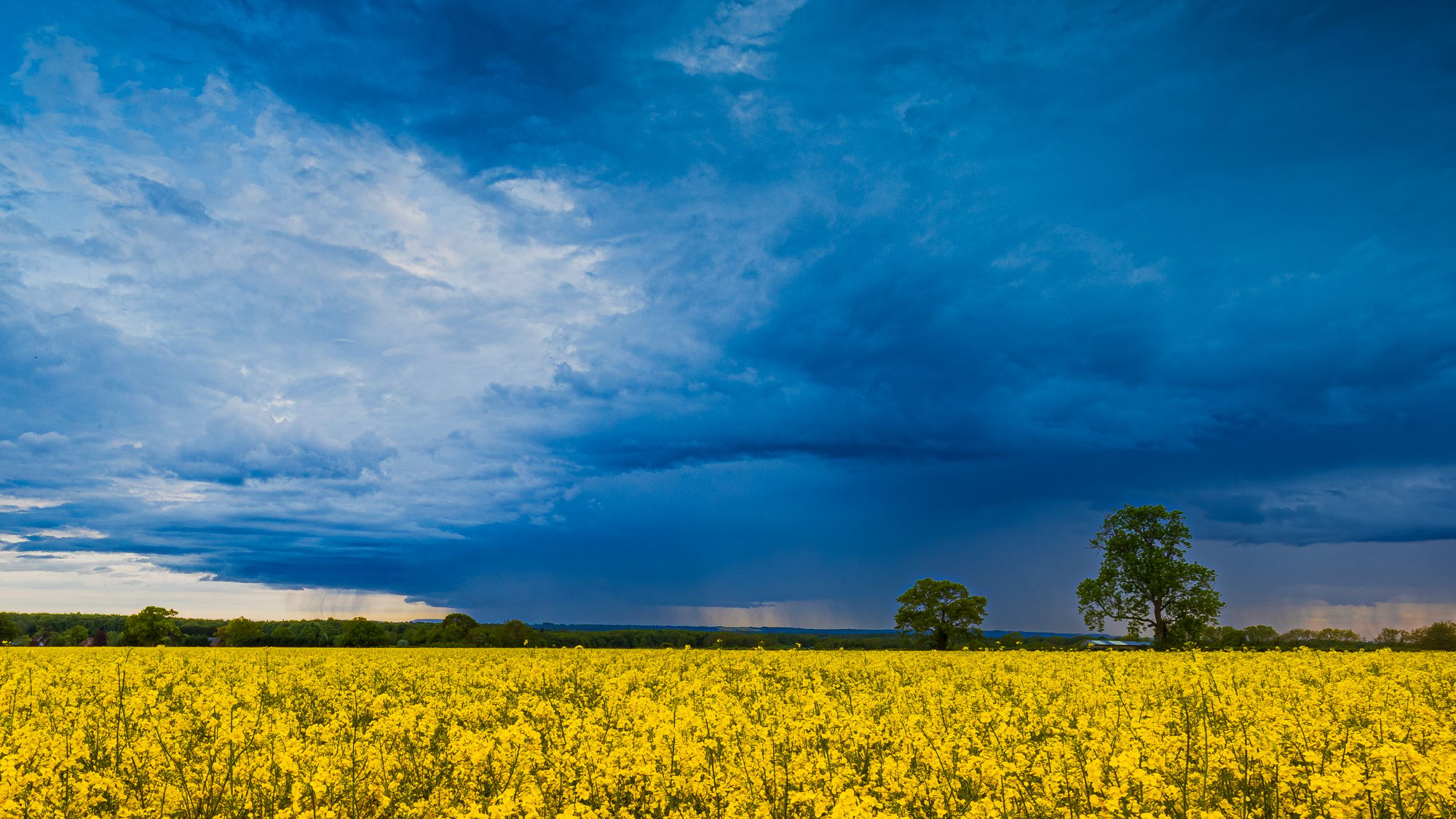 Woodhouse Lane, United Kingdom