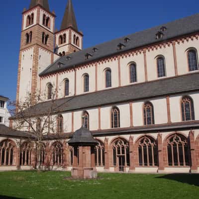 Würzburg Cathedral