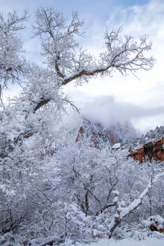 Zion Canyon