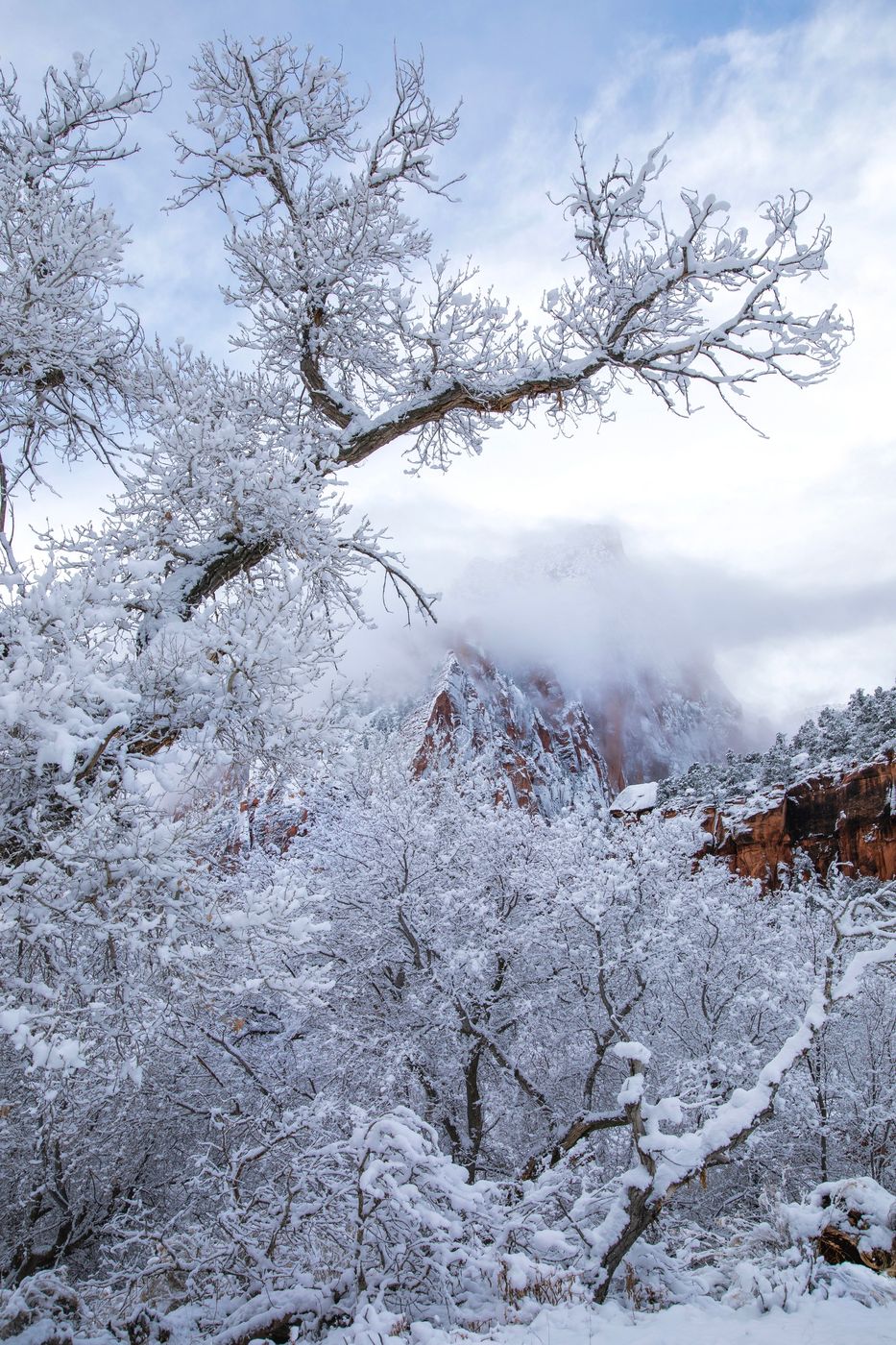Zion Canyon, USA