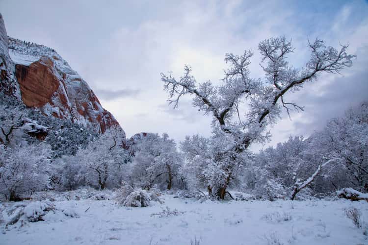 Zion Canyon