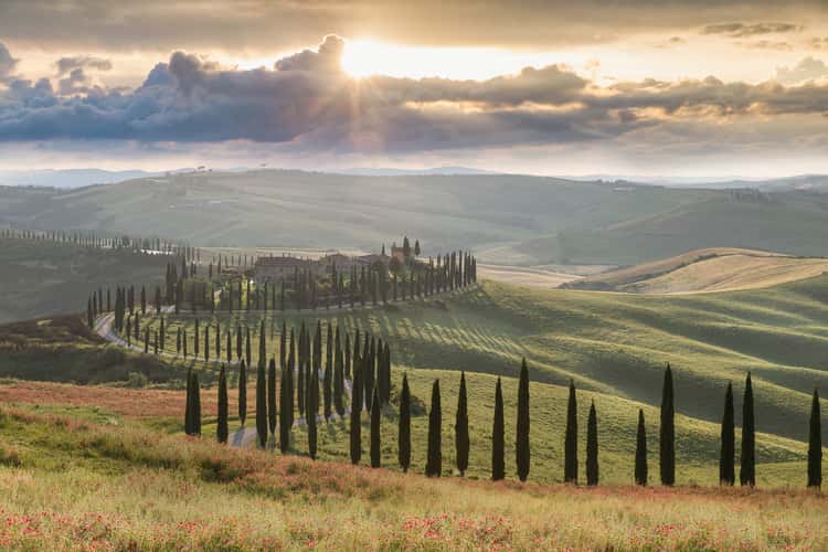 Agriturismo Baccoleno, Asciano