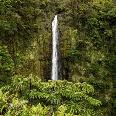 Akaka Falls, USA