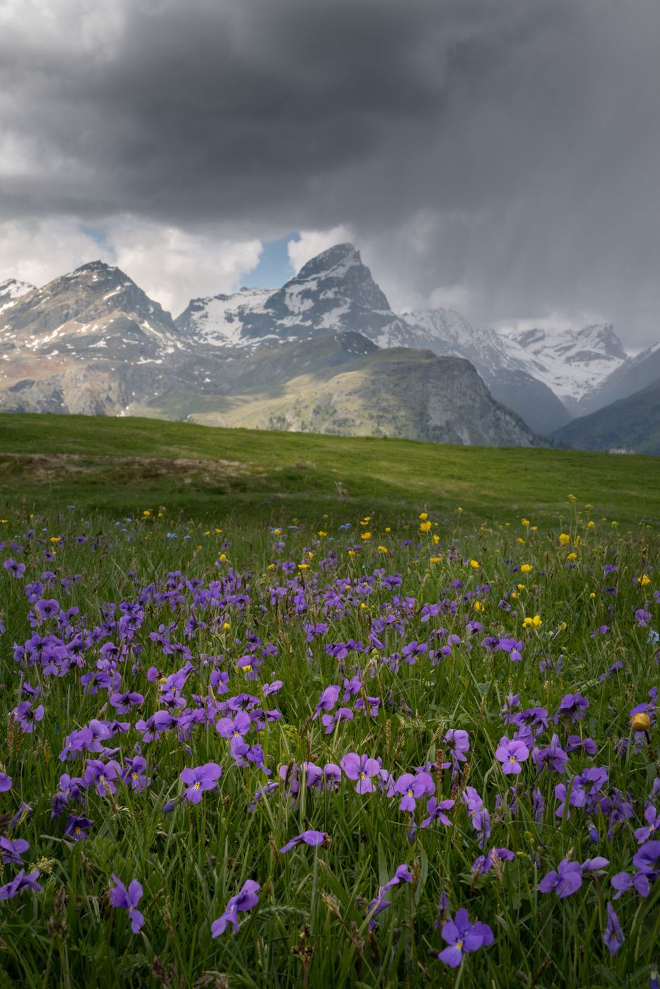 Alp Flix, Switzerland, Switzerland