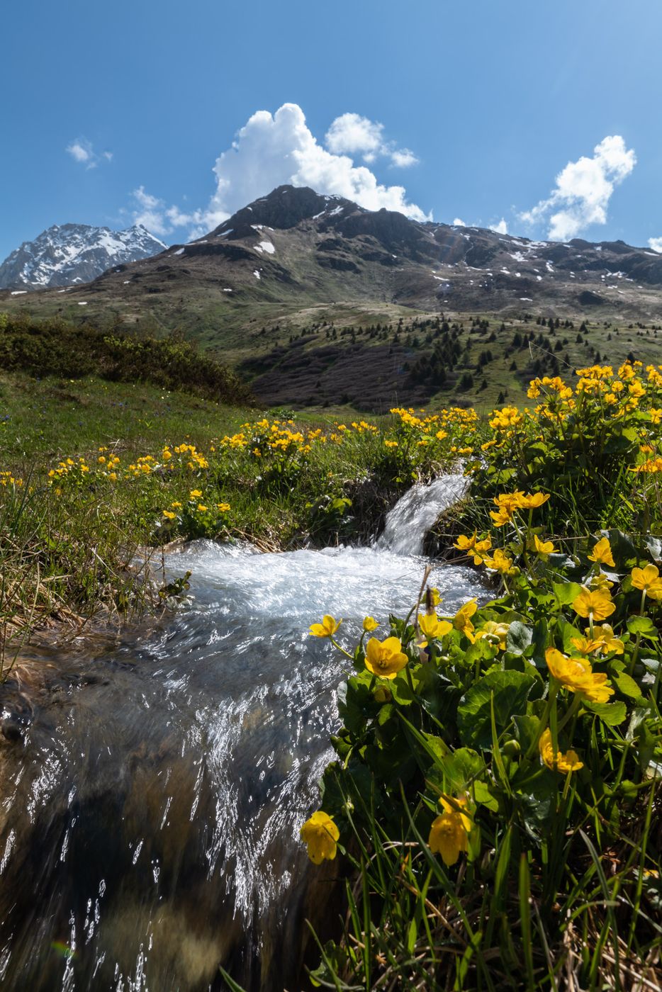 Alp Flix, Switzerland, Switzerland