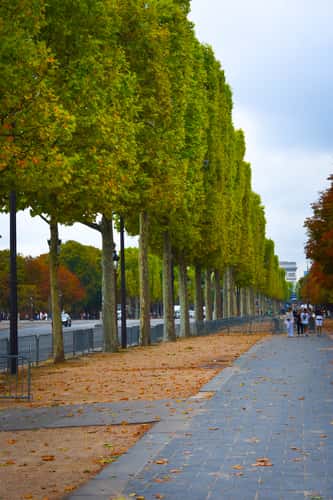 Avenue des Champs-Elysees, Paris