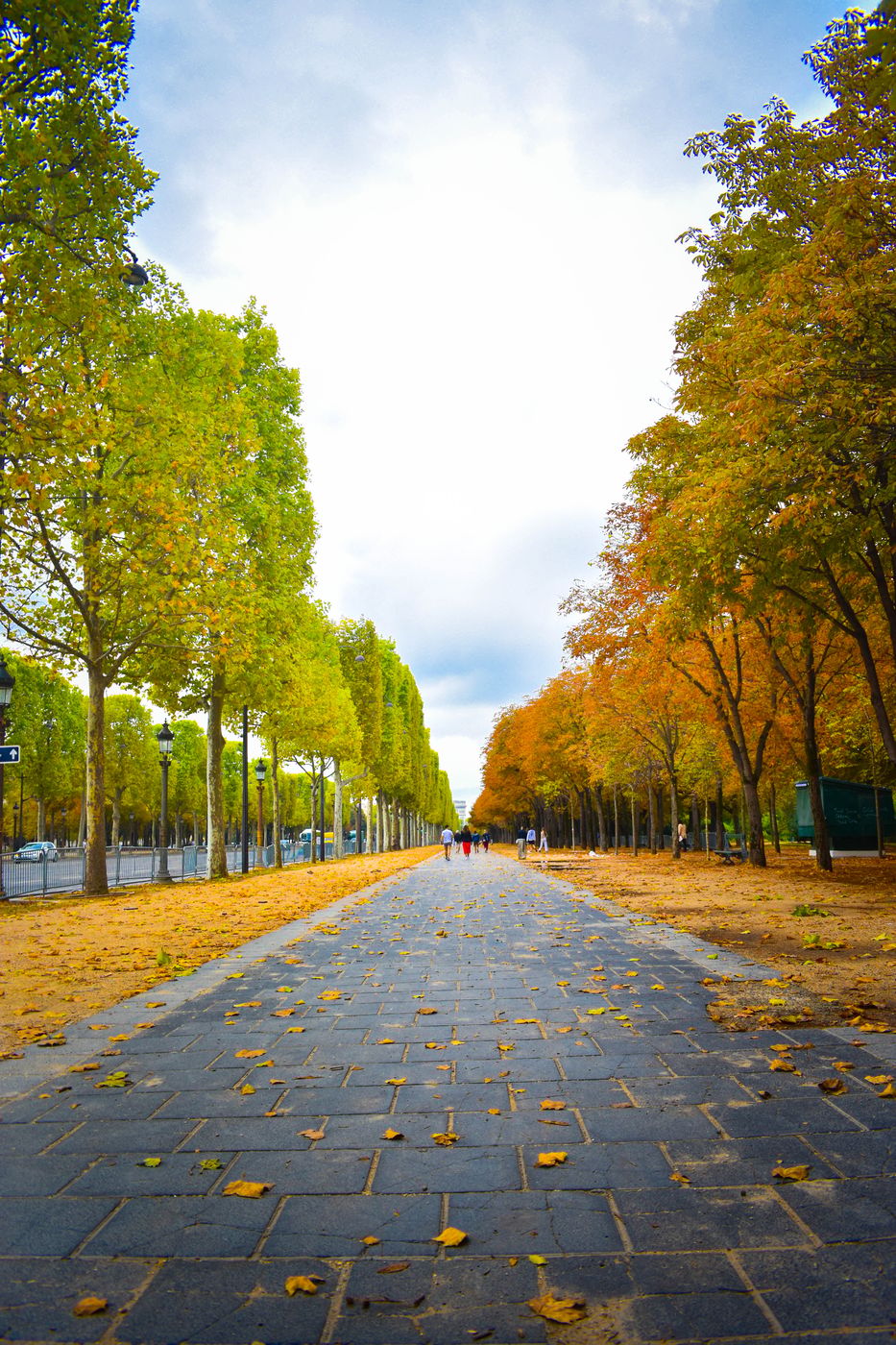 Avenue des Champs-Elysees, Paris, France