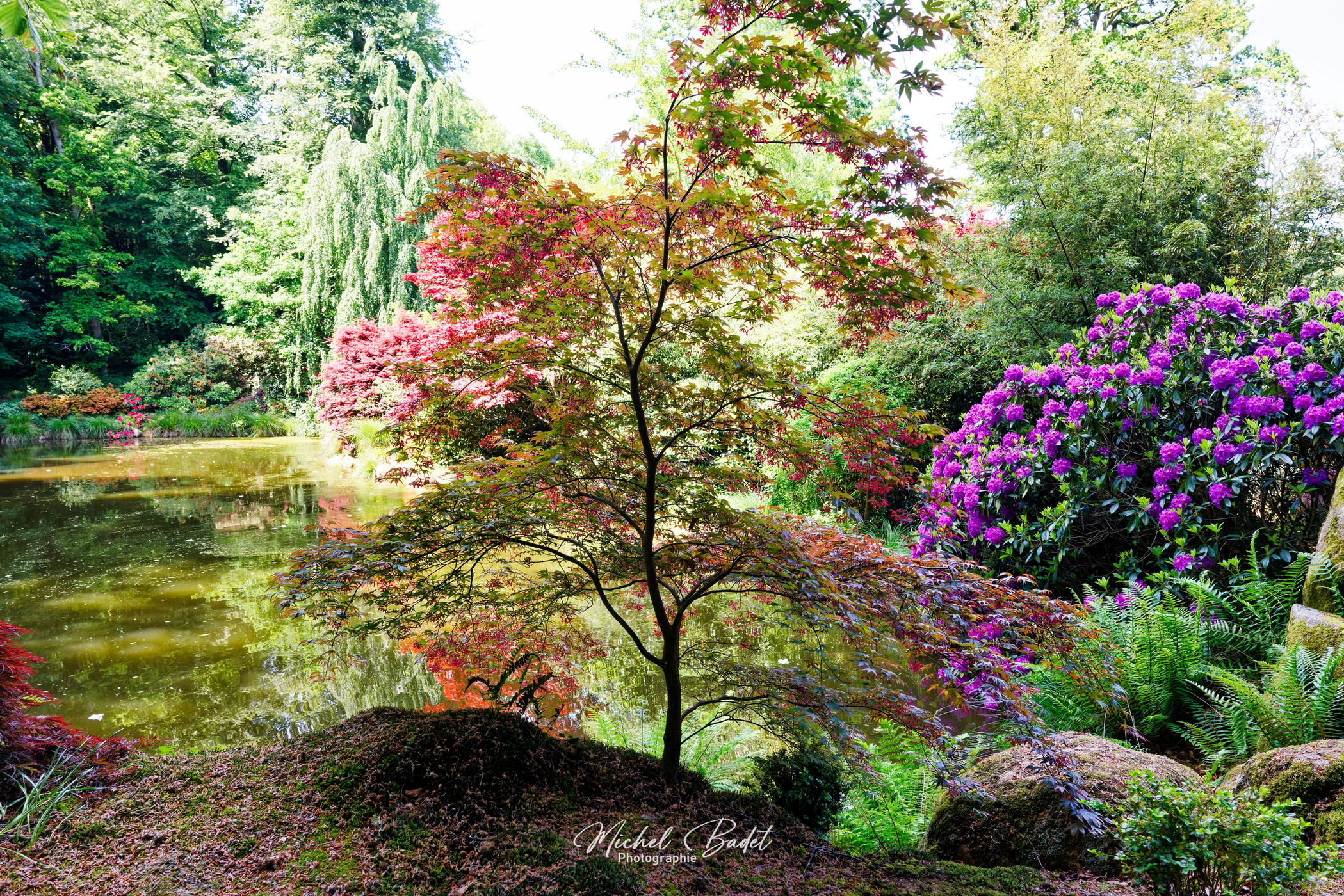 Botanical Park of Haute-Bretagne, France
