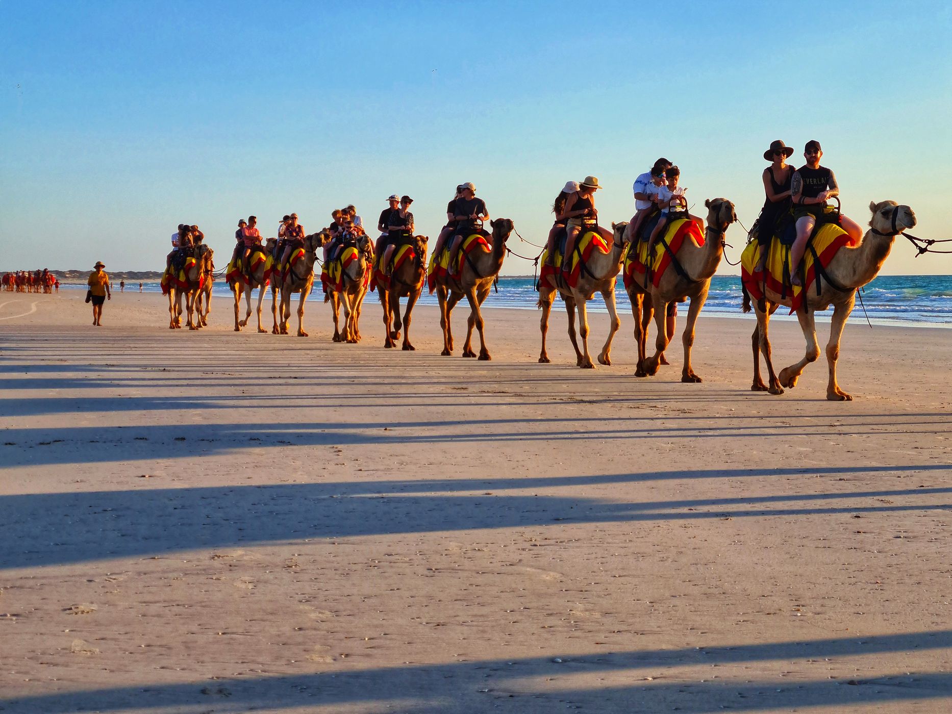 Camels Cable Beach Broome, Western Australia, Australia