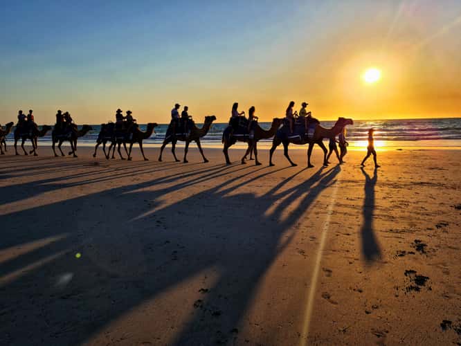 Camels Cable Beach Broome, Western Australia