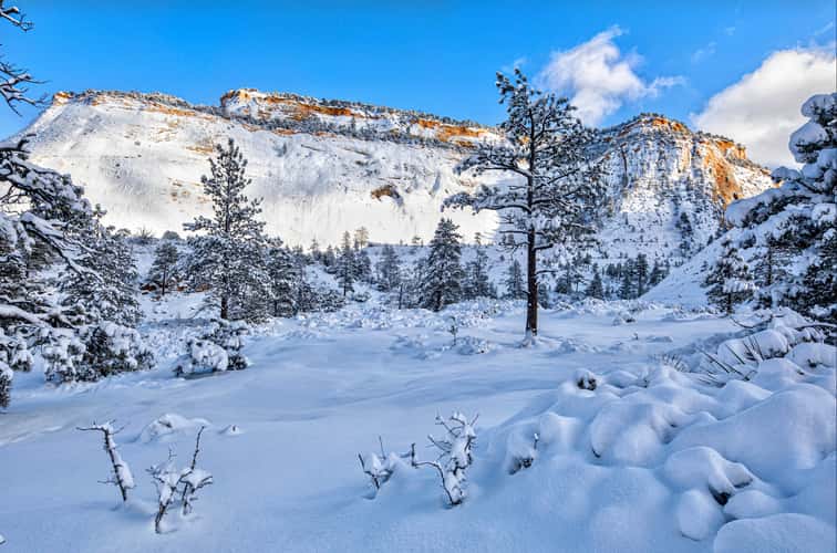 Checkerboard Mesa