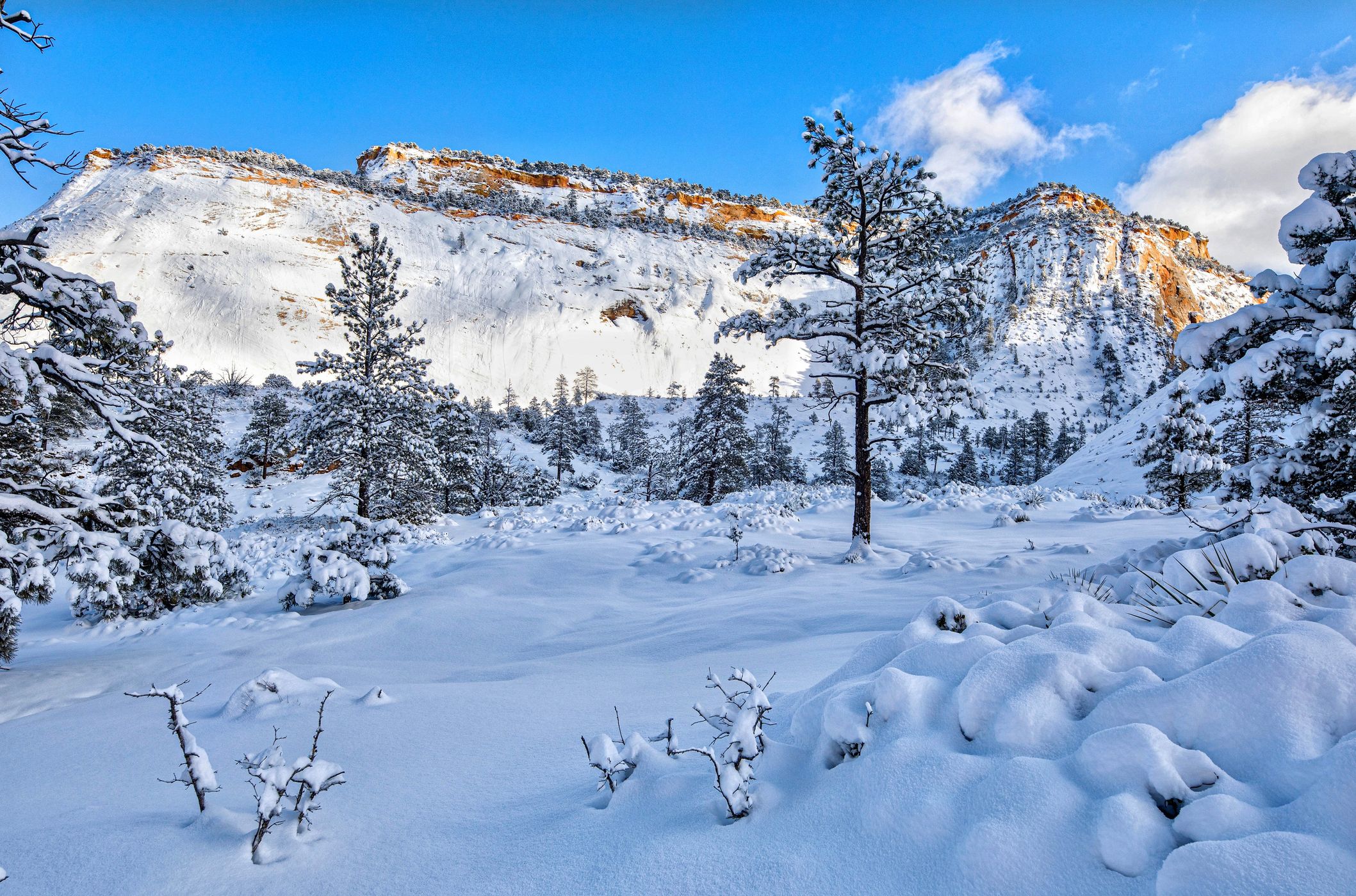 Checkerboard Mesa, USA