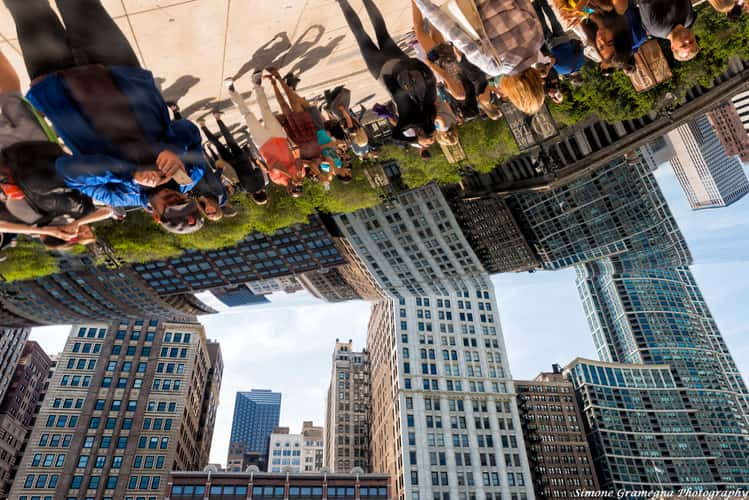 Chicago bean