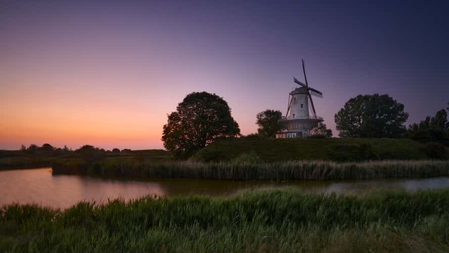 De Koe (Mill of Veere)