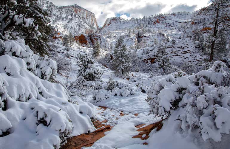 East Zion Pullout