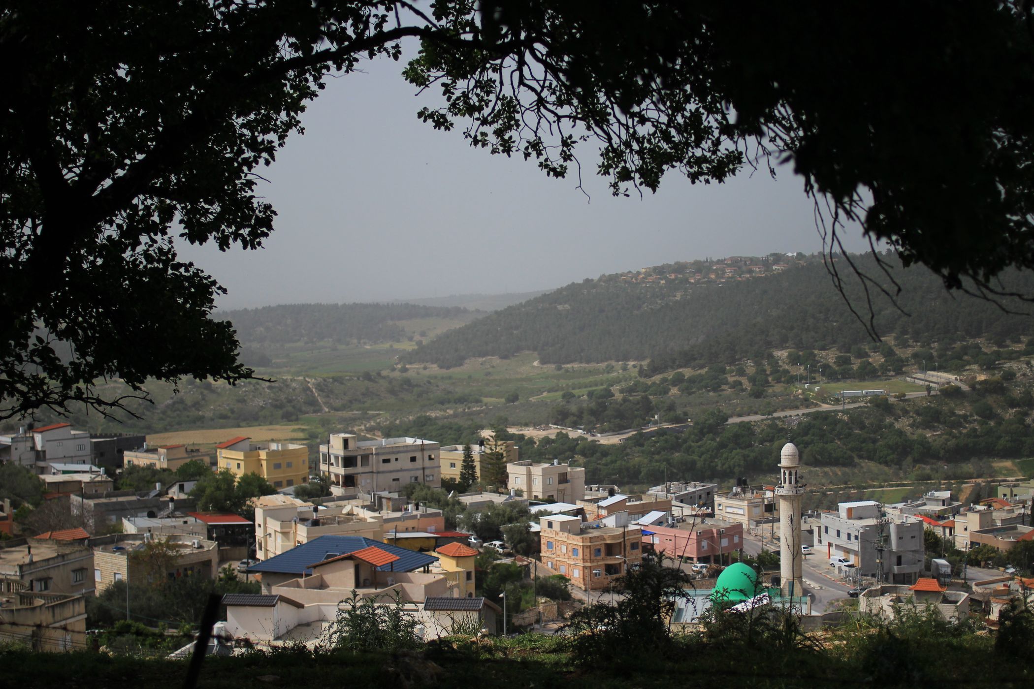 edge of the wood to a small town, Israel