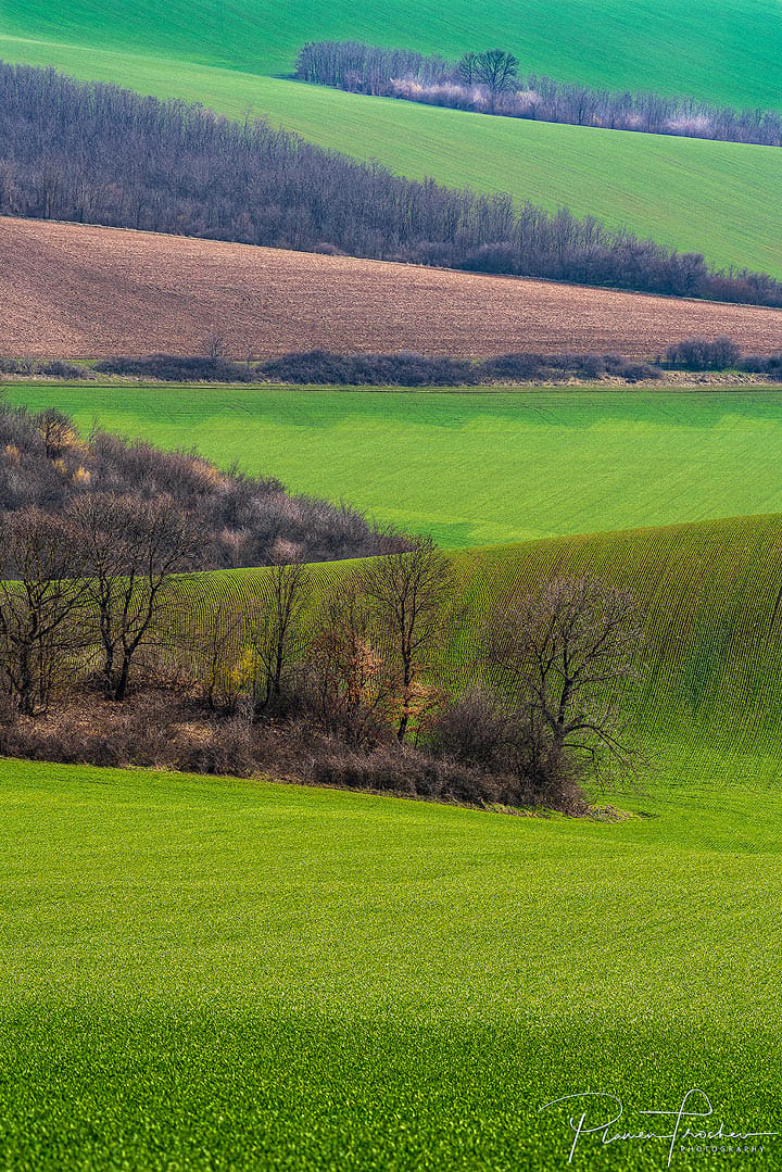 fields, Bulgaria
