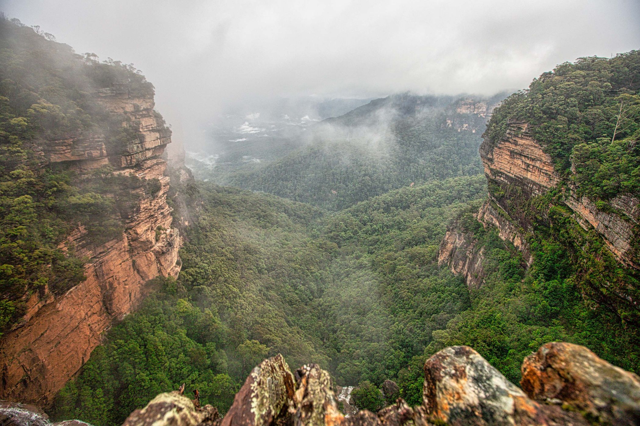 Fog at Flechers Lookout, Blue Mountains, NSW, Australia