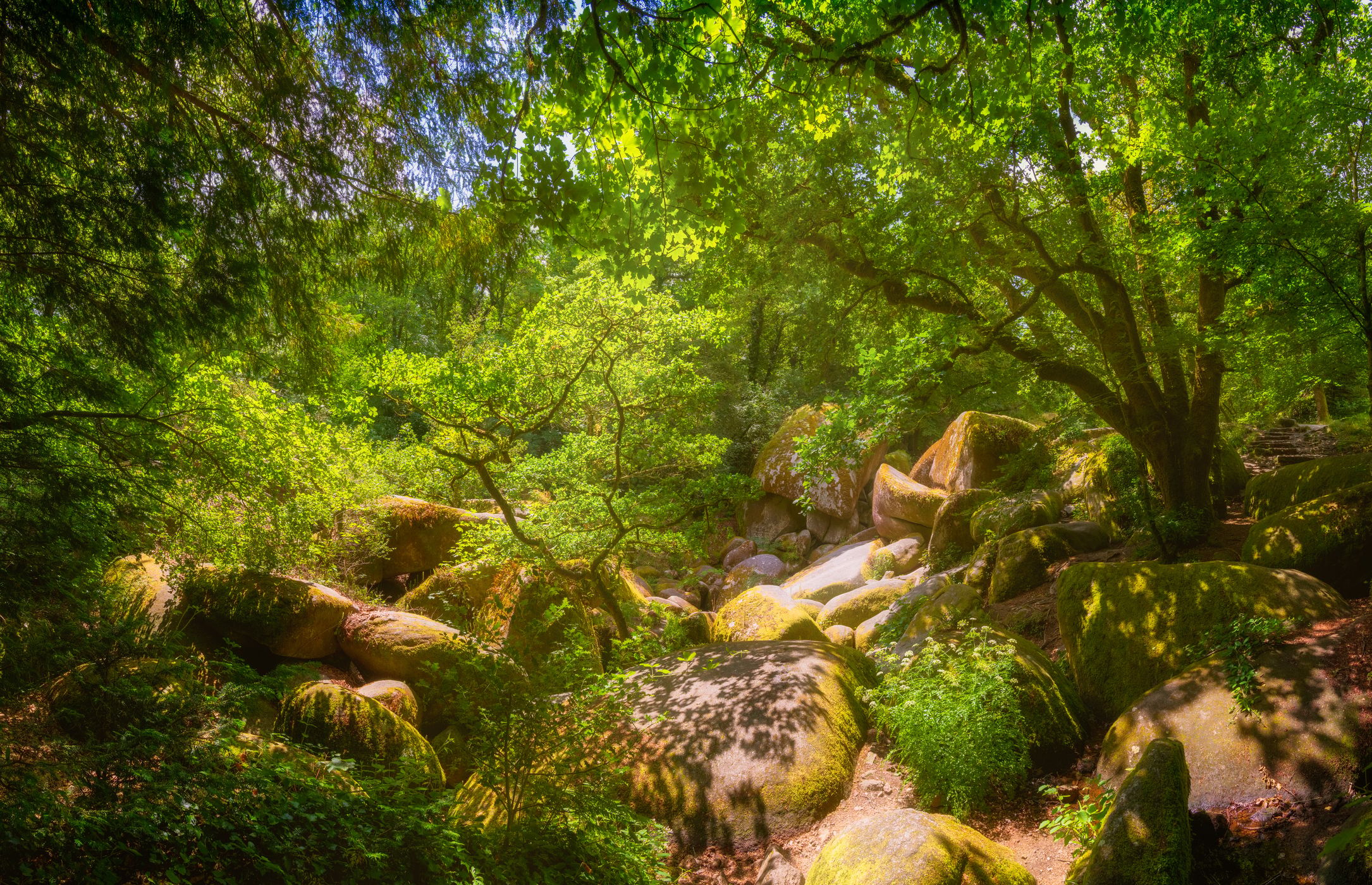 Forest of Huelgoat, France
