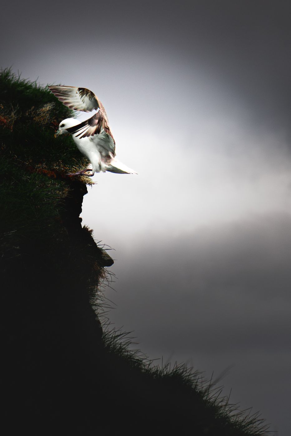 Gjogv - Hike to Fjallid, Faroe Islands