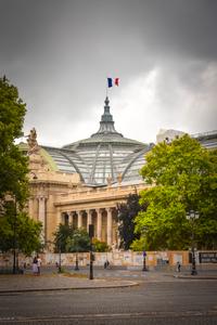 Grand Palais, Paris (Avenue des Champs-Elysees)