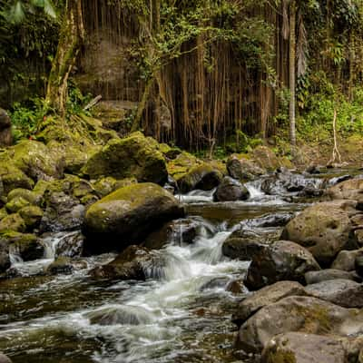 Hanawi Stream, USA