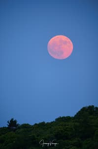 Kronberg im Taunus, 'Malersicht'