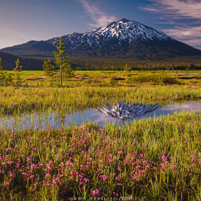 Mt. Bachelor, USA