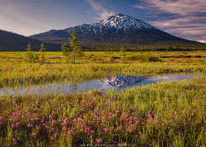Mt. Bachelor