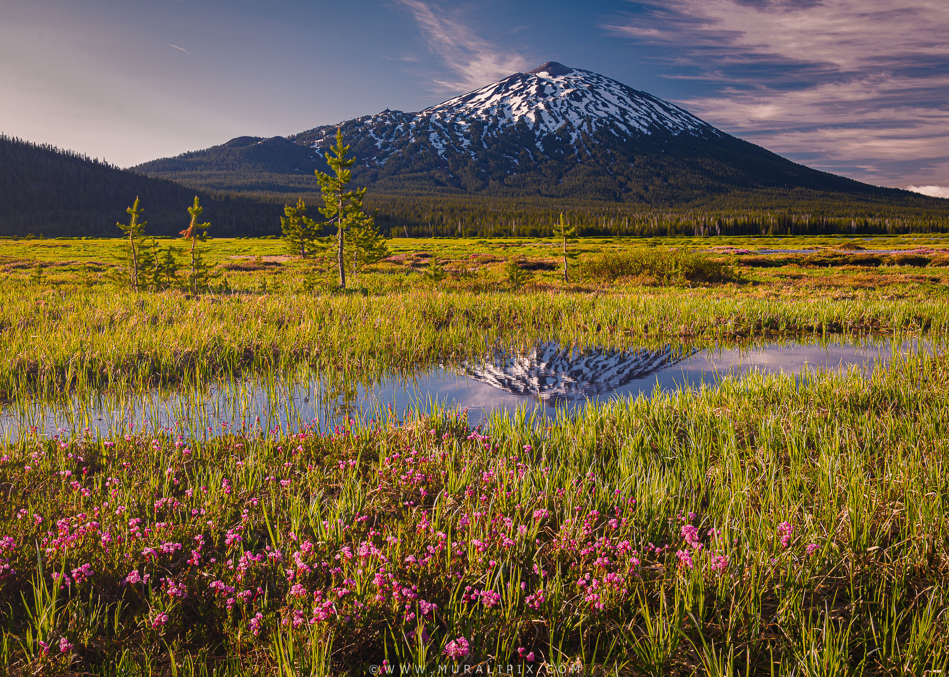 Mt. Bachelor, USA