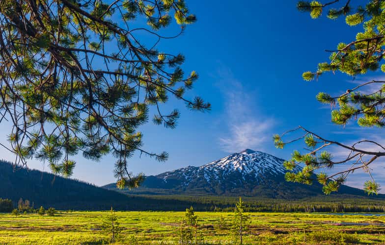 Mt. Bachelor