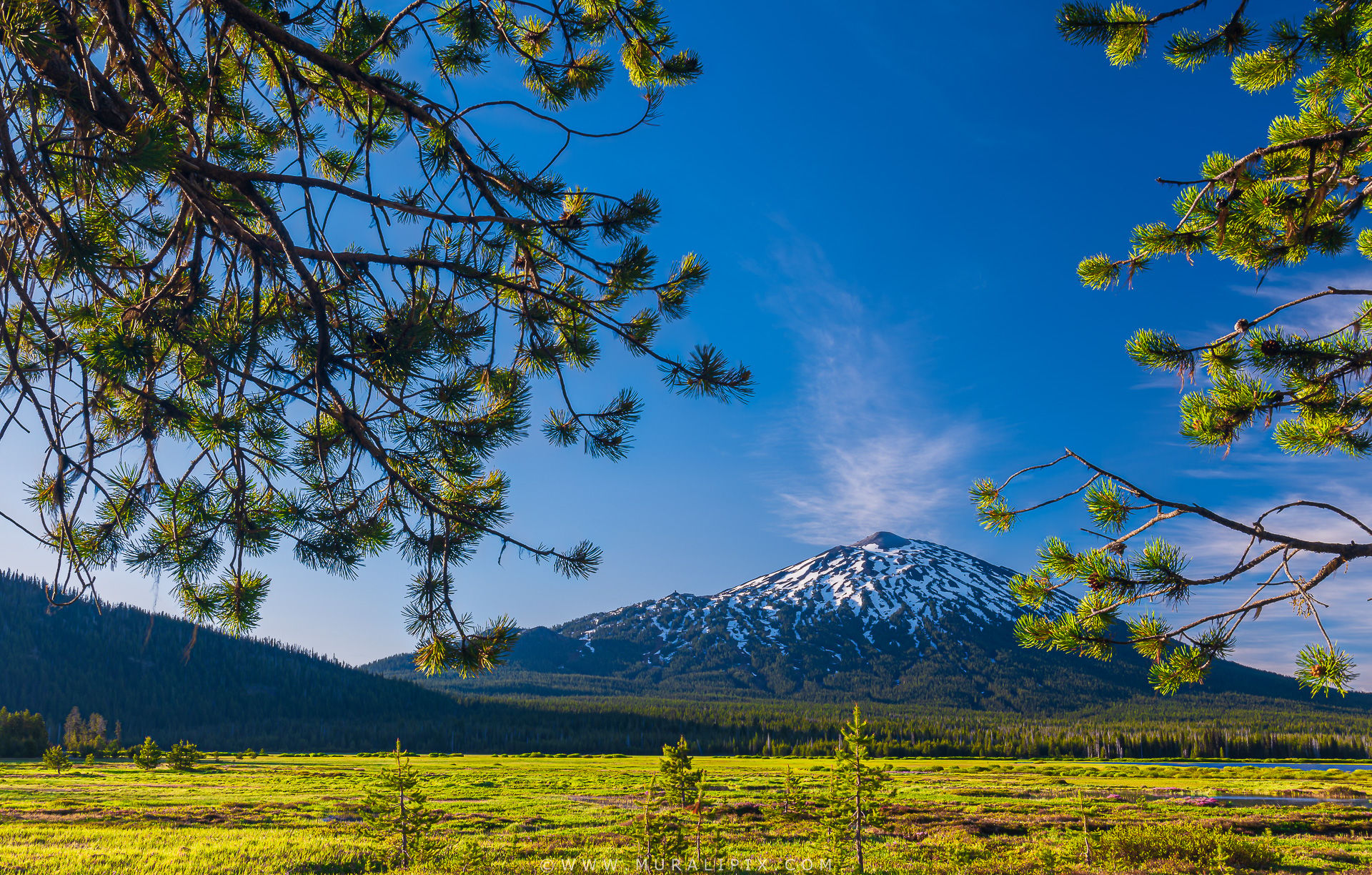 Mt. Bachelor, USA