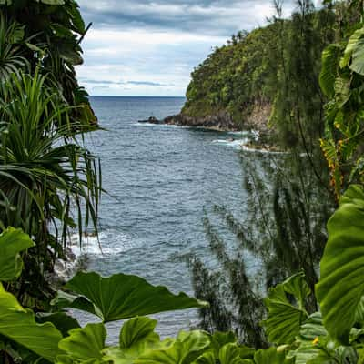 Onomea Bay, USA