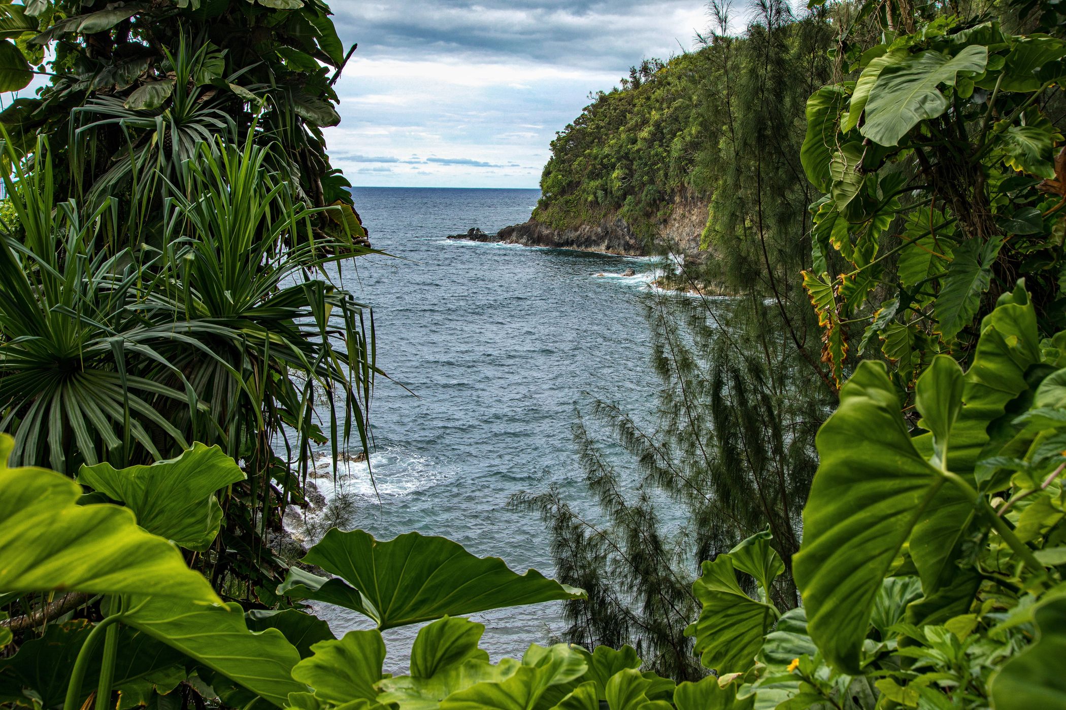 Onomea Bay, USA