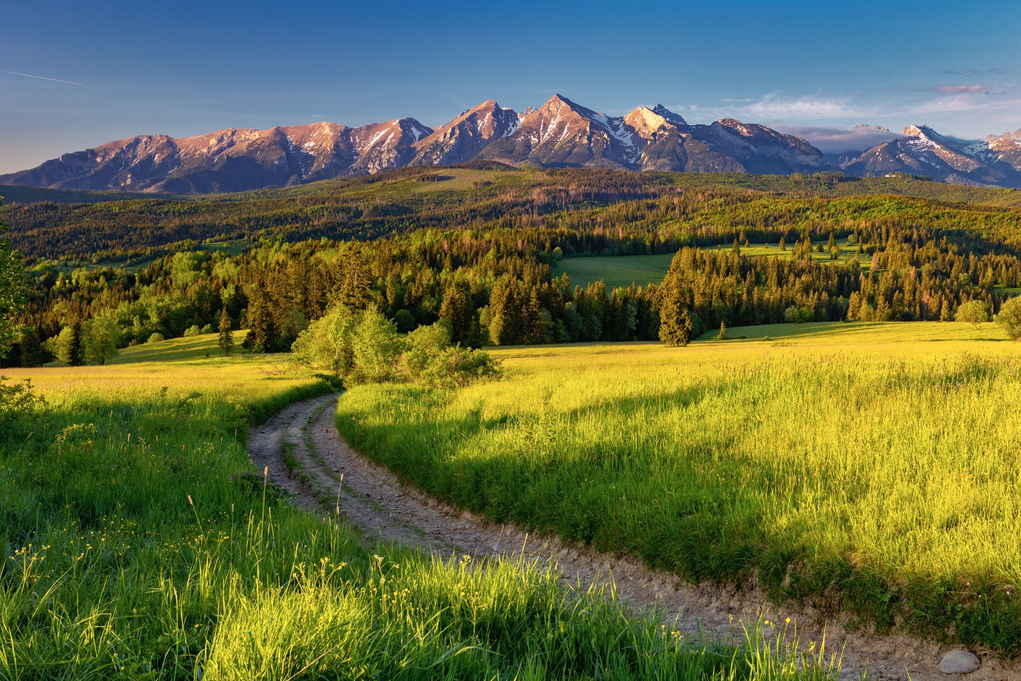 Łapszanka - panorama of Tatra mouintains, Poland