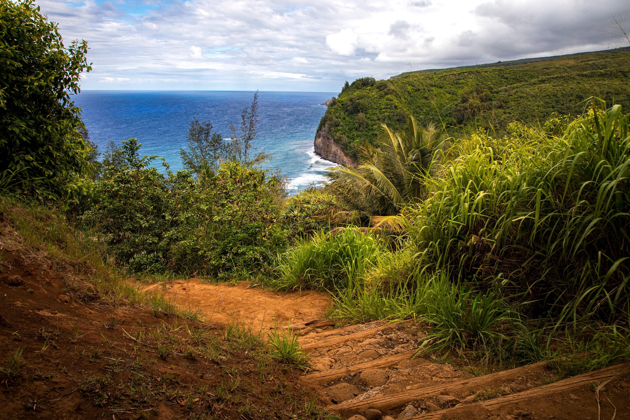 Pololū Valley Lookout, USA