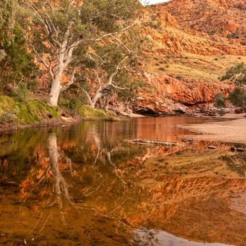 Reflection, Ormiston Gorge, Northern Territory, Australia