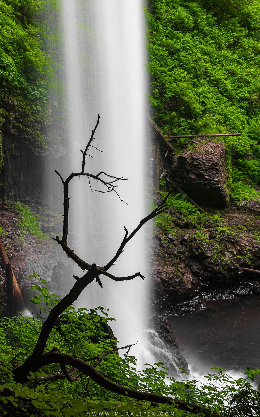 Silver Falls North Falls, USA