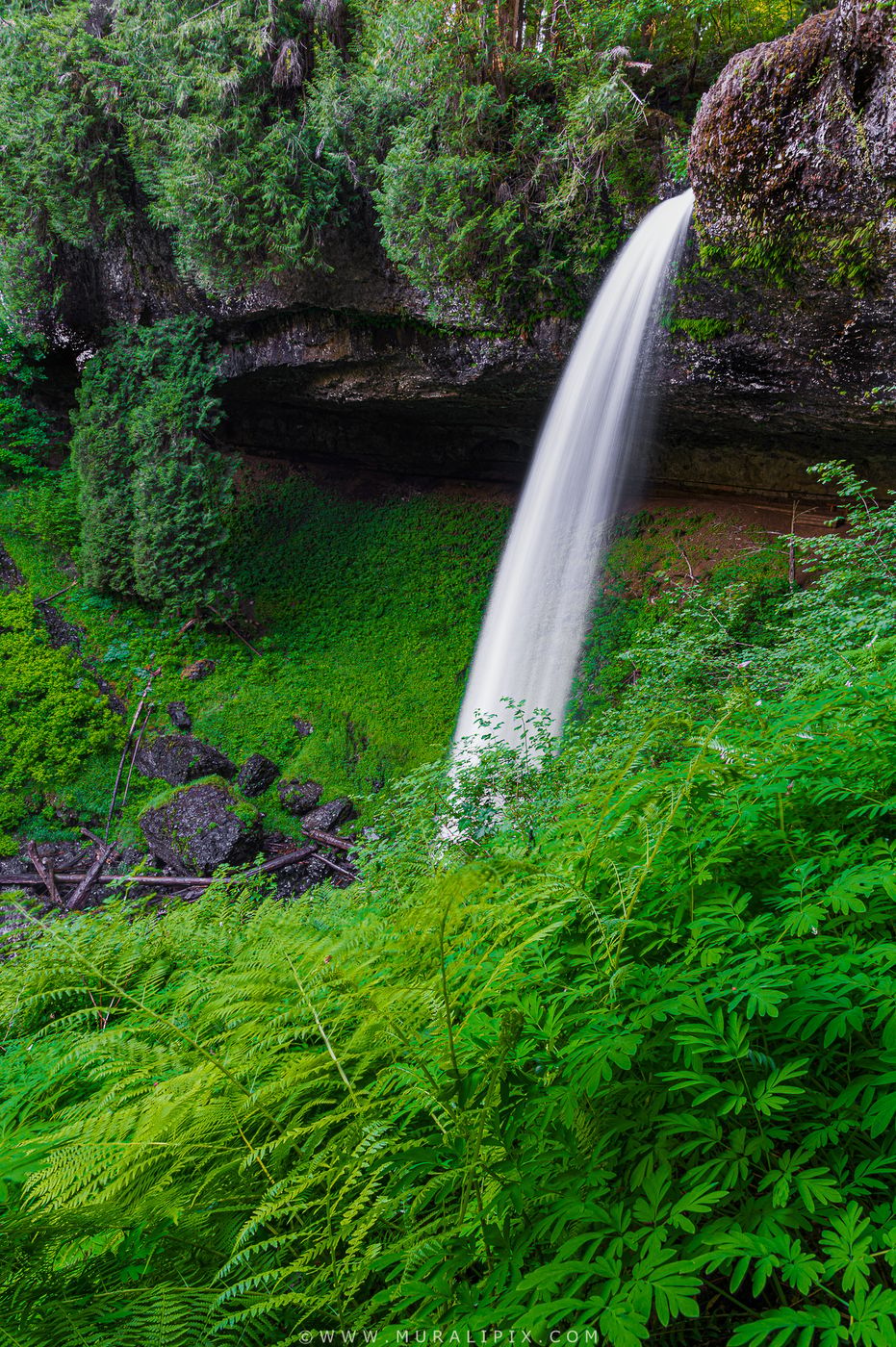 Silver Falls North Falls, USA