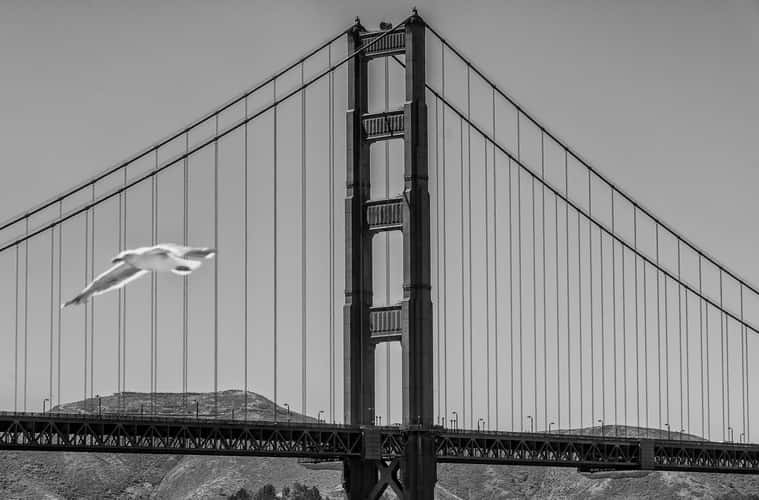 Golden Gate Bridge View