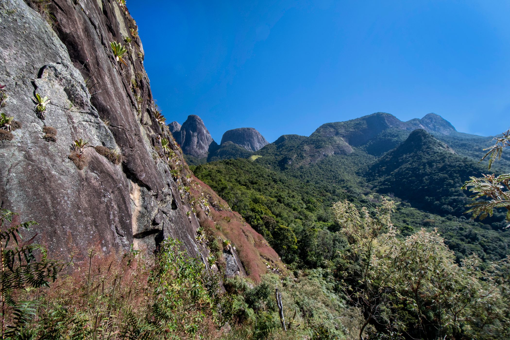 Trilha para o Morro do Couto, Brazil