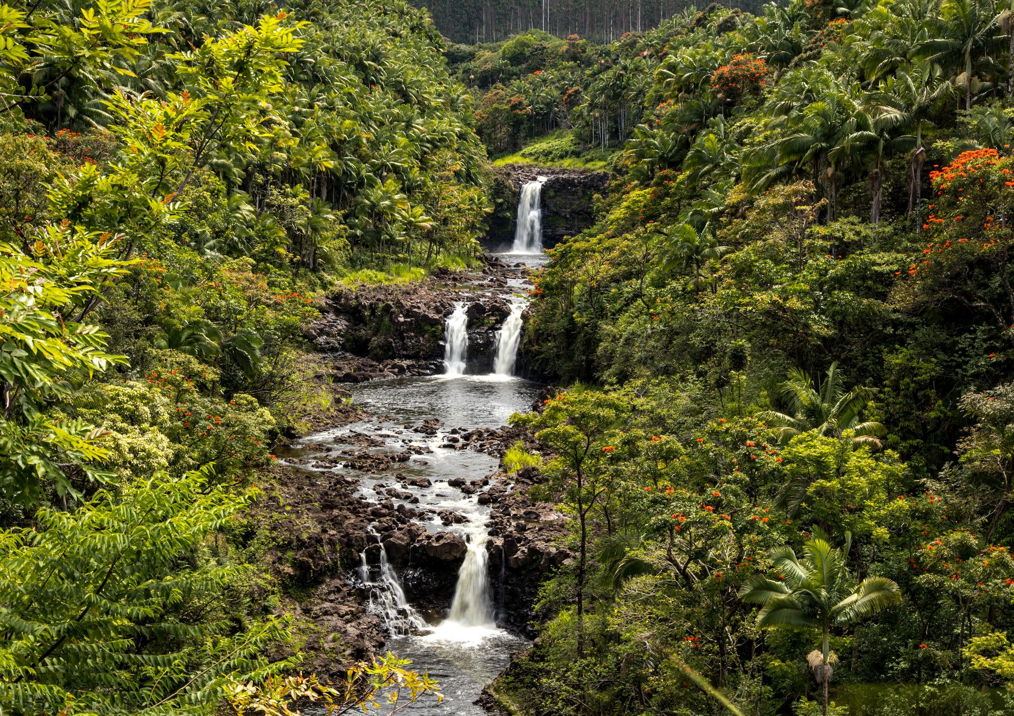 Umauma Falls, USA