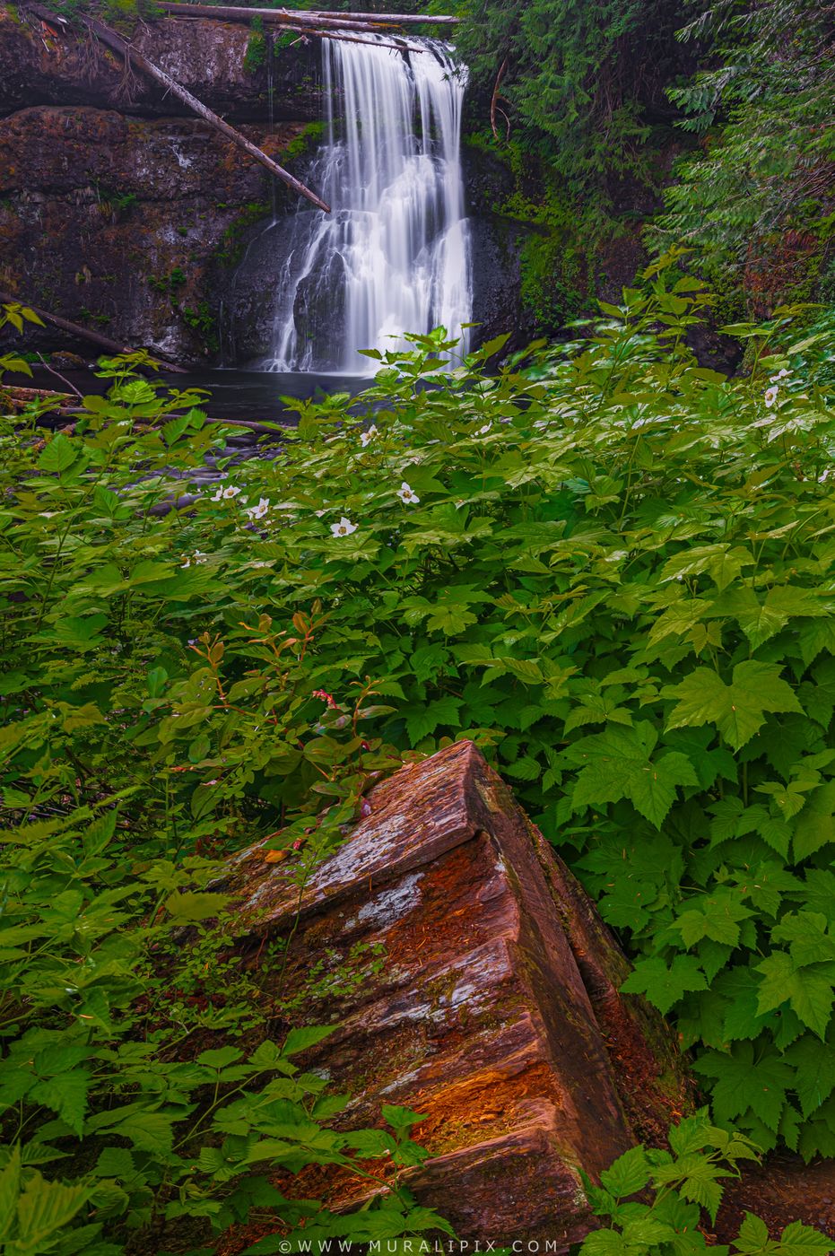 Upper North Falls, USA