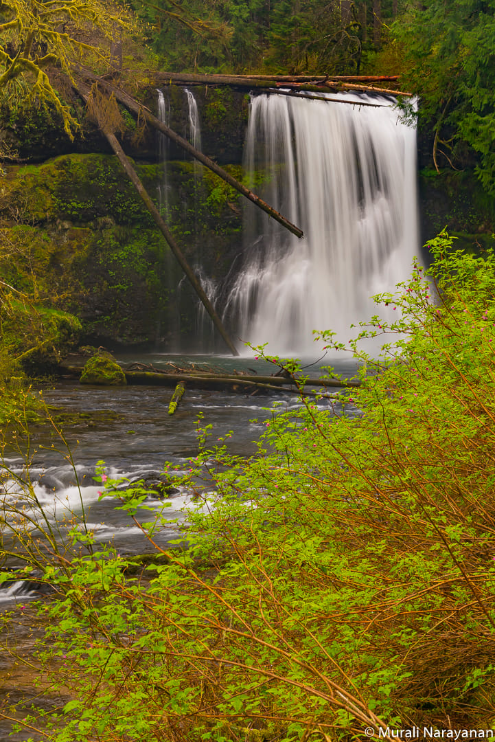 Upper North Falls, USA