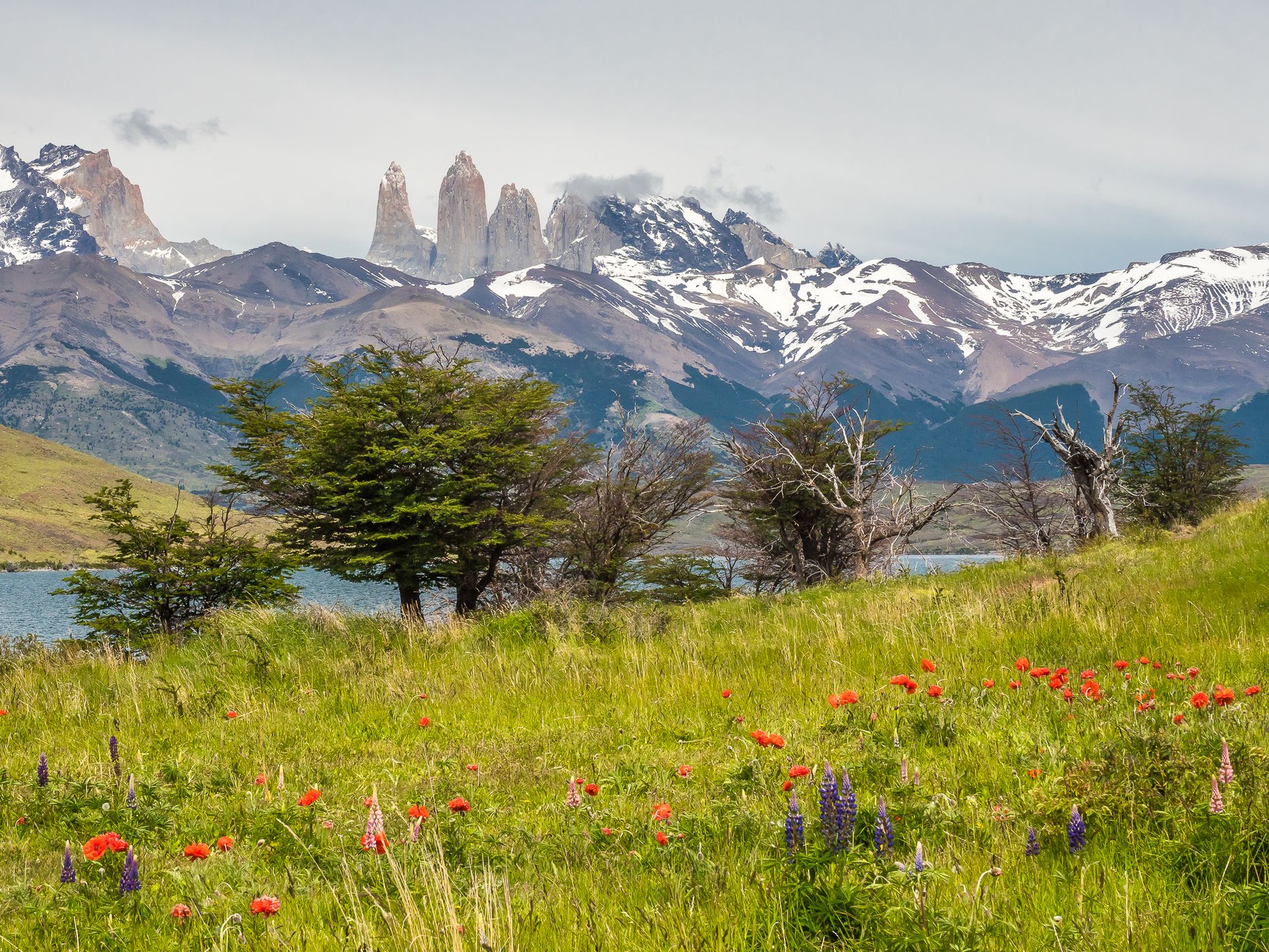 View across Laguna Azul to the Torres del Paine, Chile